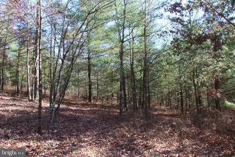 Rolly Road, Mount Jackson, VA 22842 photo 19