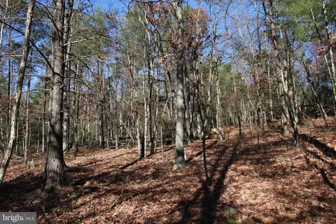 Rolly Road, Mount Jackson, VA 22842 photo 18