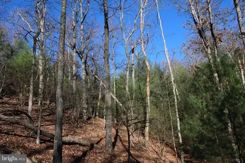 Rolly Road, Mount Jackson, VA 22842 photo 15