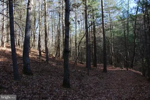 Rolly Road, Mount Jackson, VA 22842 photo 9