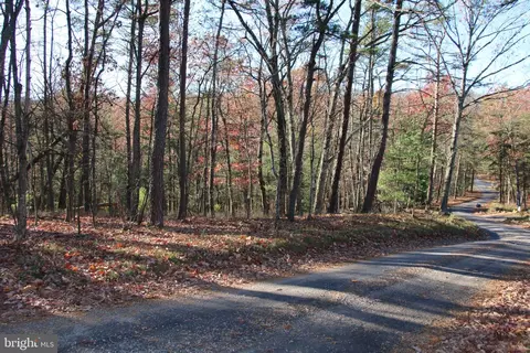 Rolly Road, Mount Jackson, VA 22842 photo 10