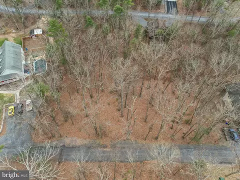 Dogwood, Basye, VA 22810 photo 5