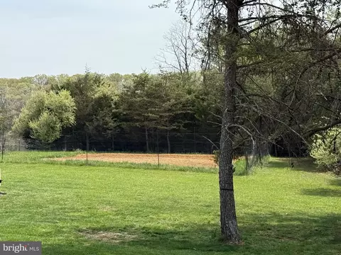 11096 Senedo Rd, Mount Jackson, VA 22842 photo 6