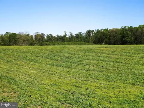 0 Pleasant View Rd, Mount Jackson, VA 22842 photo 13