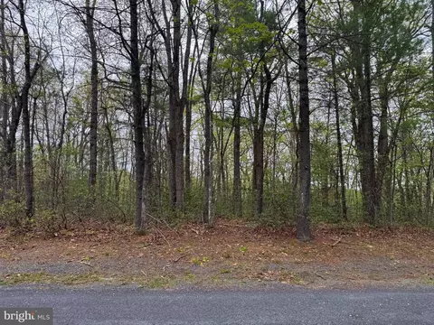 lot17 Dooley, Basye, VA 22810 photo 3