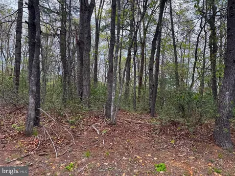 lot17 Dooley, Basye, VA 22810 photo 2