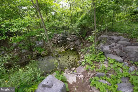 5143 S Middle Rd, Mount Jackson, VA 22842 photo 30