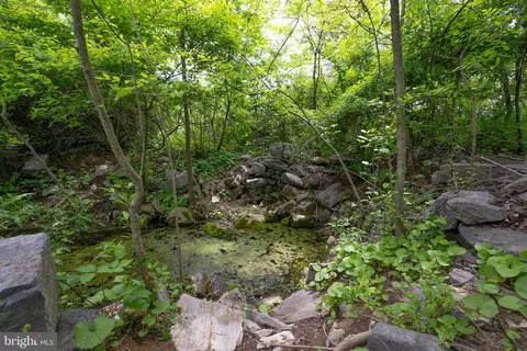 5143 S Middle Rd, Mount Jackson, VA 22842 photo 28
