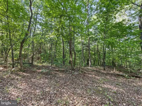 Mountain Laurel Dr, Mount Jackson, VA 22842 photo 11