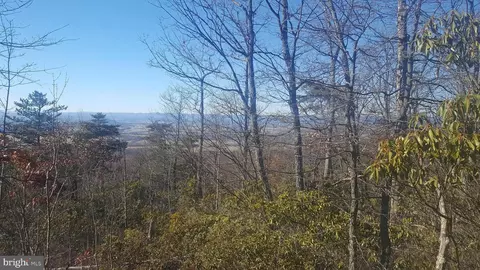 Mountain Laurel Dr, Mount Jackson, VA 22842 photo 16
