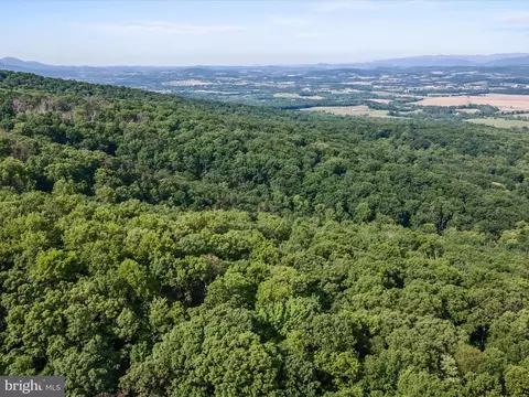 Mountain Laurel Dr, Mount Jackson, VA 22842 photo 8