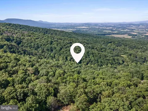 Mountain Laurel Dr, Mount Jackson, VA 22842 photo 3