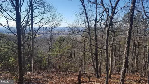 Mountain Laurel Dr, Mount Jackson, VA 22842 photo 18