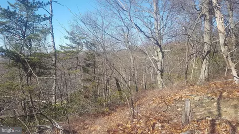 Mountain Laurel Dr, Mount Jackson, VA 22842 photo 17