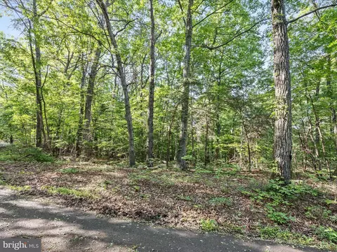 Mountain Laurel Dr, Mount Jackson, VA 22842 photo 12