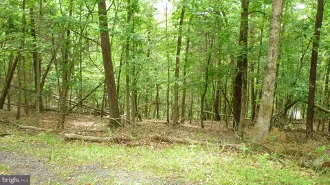 lot179 Stuart Dr, Basye, VA 22810