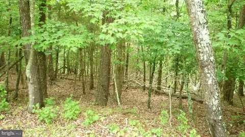 lot180 Stuart Dr, Basye, VA 22810