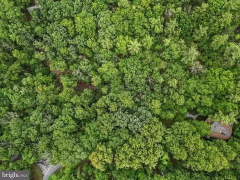Valley View Road, Basye, VA 22810 photo 14