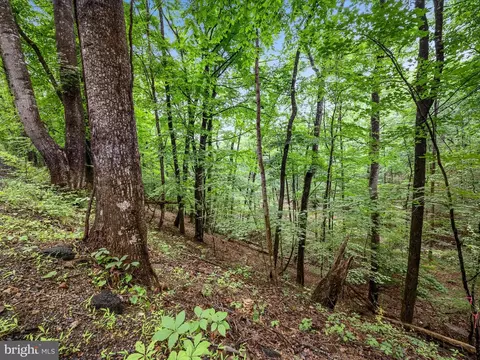 Valley View Road, Basye, VA 22810 photo 3