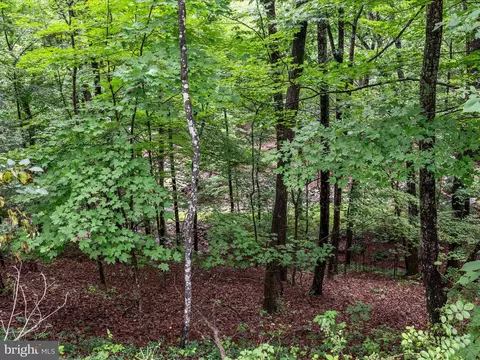 Valley View Road, Basye, VA 22810 photo 5