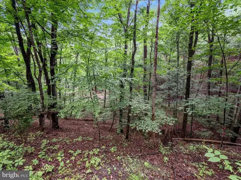 Valley View Road, Basye, VA 22810 photo 6