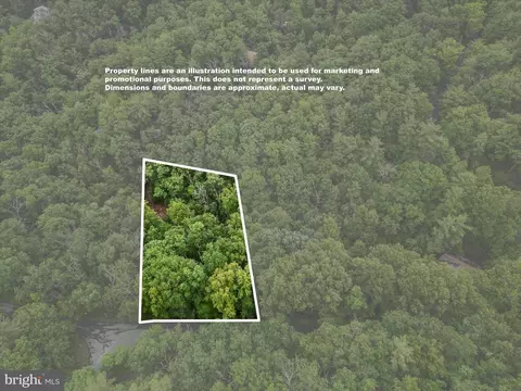 Valley View Road, Basye, VA 22810 photo 2