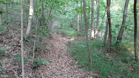 Brush Leaf Lane, Mount Jackson, VA 22842 photo 6