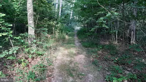Brush Leaf Lane, Mount Jackson, VA 22842 photo 3