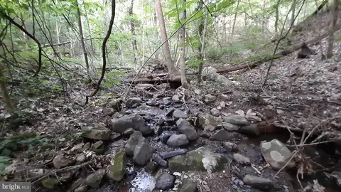 Brush Leaf Lane, Mount Jackson, VA 22842 photo 5
