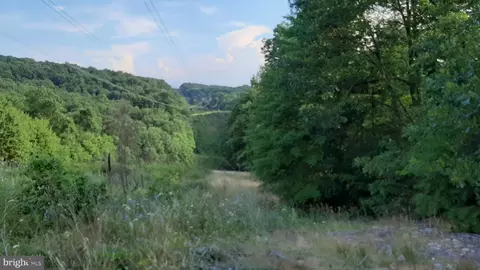 Brush Leaf Lane, Mount Jackson, VA 22842 photo 7