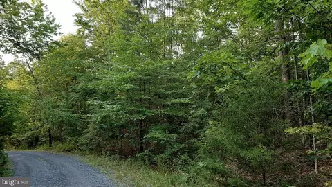 Brush Leaf Lane, Mount Jackson, VA 22842 photo 2