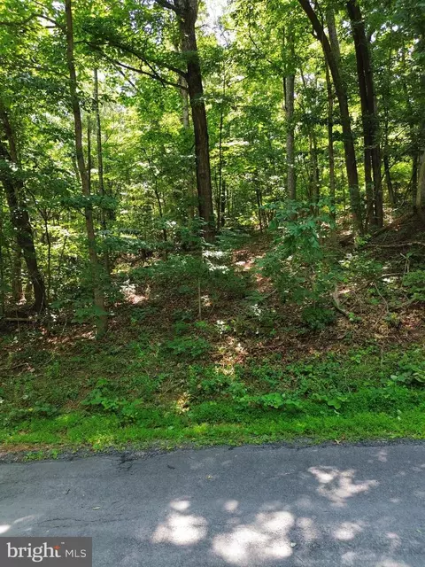 tbd Willow Ln, Mount Jackson, VA 22842 photo 2
