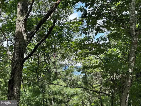 lot24 Mt Snow Ct, Basye, VA 22810