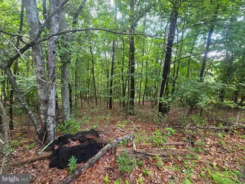Ash, Mount Jackson, VA 22842 photo 4