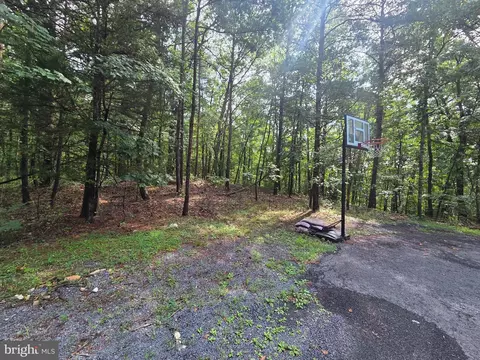 Ash, Mount Jackson, VA 22842 photo 2