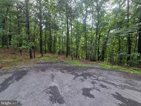 Ash, Mount Jackson, VA 22842