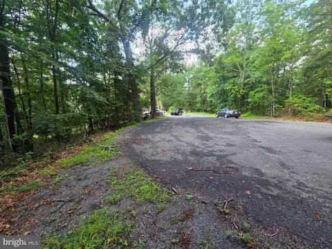 Ash, Mount Jackson, VA 22842 photo 3