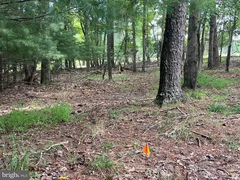 Timber Ridge, Mount Jackson, VA 22842 photo 17