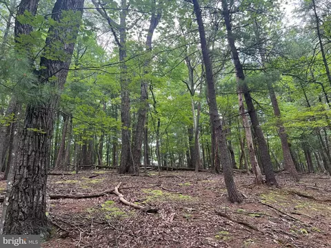 Timber Ridge, Mount Jackson, VA 22842 photo 9