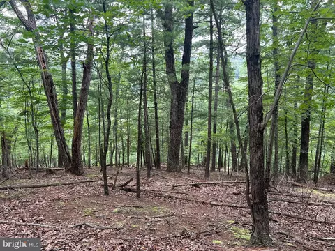 Timber Ridge, Mount Jackson, VA 22842 photo 8
