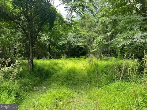 Timber Ridge, Mount Jackson, VA 22842 photo 27