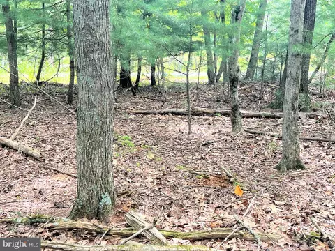 Timber Ridge, Mount Jackson, VA 22842 photo 18