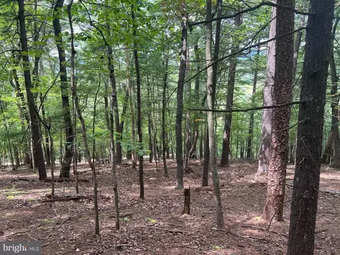 Timber Ridge, Mount Jackson, VA 22842 photo 2