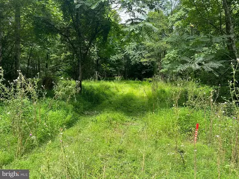 Timber Ridge, Mount Jackson, VA 22842 photo 24