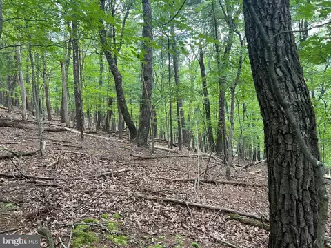 Timber Ridge, Mount Jackson, VA 22842 photo 7