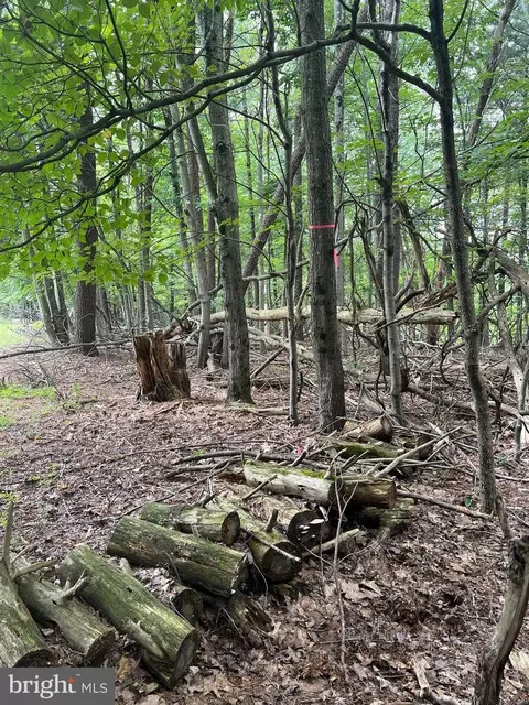Timber Ridge, Mount Jackson, VA 22842 photo 15