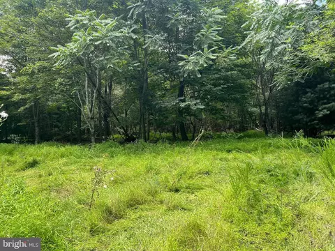 Timber Ridge, Mount Jackson, VA 22842 photo 28