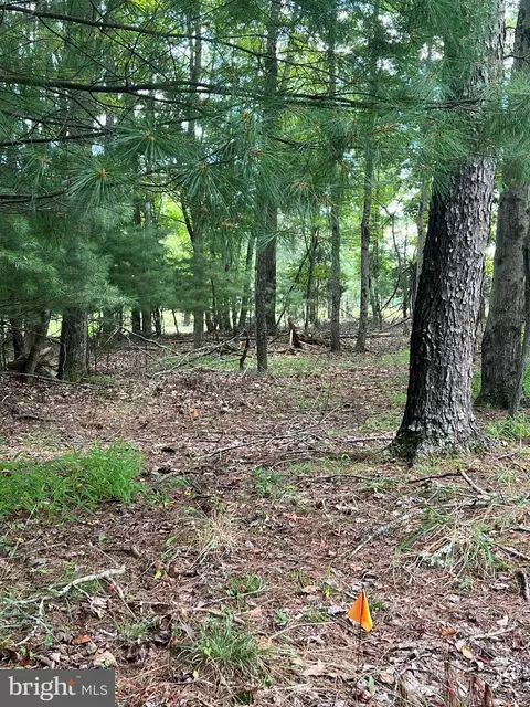 Timber Ridge, Mount Jackson, VA 22842 photo 16