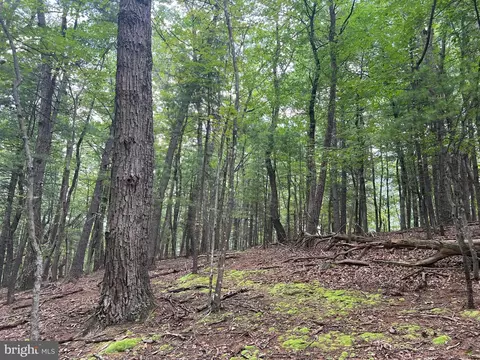 Timber Ridge, Mount Jackson, VA 22842 photo 12