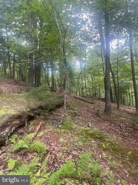 Timber Ridge, Mount Jackson, VA 22842 photo 6